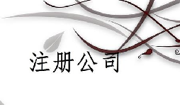 注冊(cè)公司為什么推薦找代理注冊(cè)公司的機(jī)構(gòu)呢？