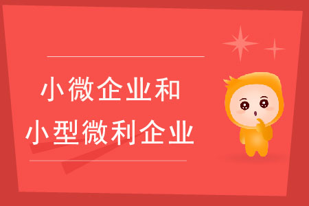 小微企業(yè)和小型微利企業(yè)有什么區(qū)別？