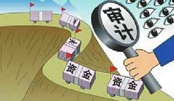 公司審計(jì)是什么,一般有哪幾種？